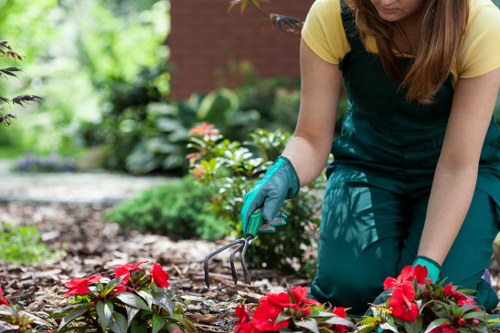 Worker wearing full PPE operating garden machinery