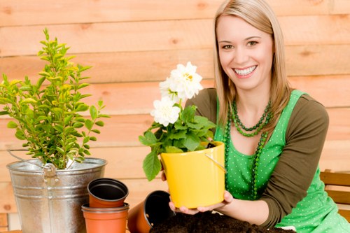 Garden tools and trimmed hedges in a terraced house yard
