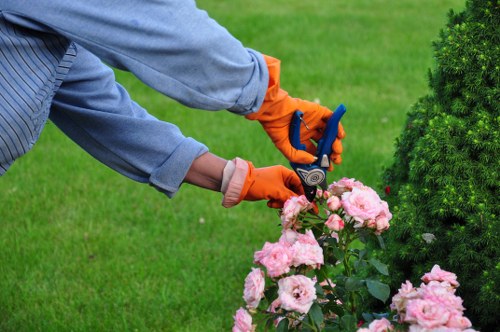 Final inspection of a landscaped garden demonstrating safety and quality