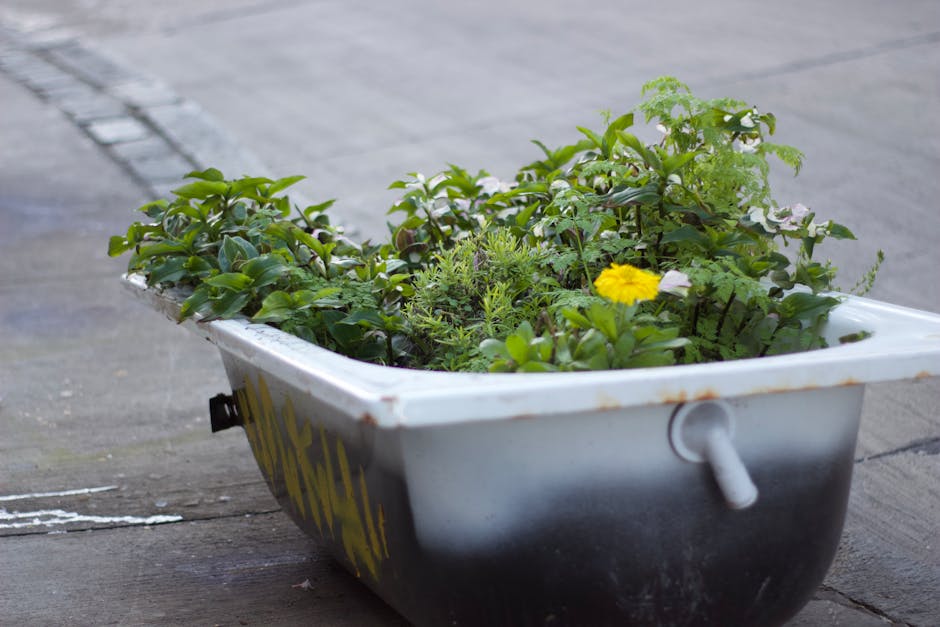 A white plastic planter filled with a variety of small green plants, including leafy foliage and herb-like herbs, is placed on a paved outdoor surface. The plants exhibit different textures, with some