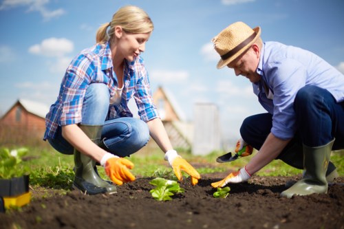 Seasonal planting in a Wembley garden